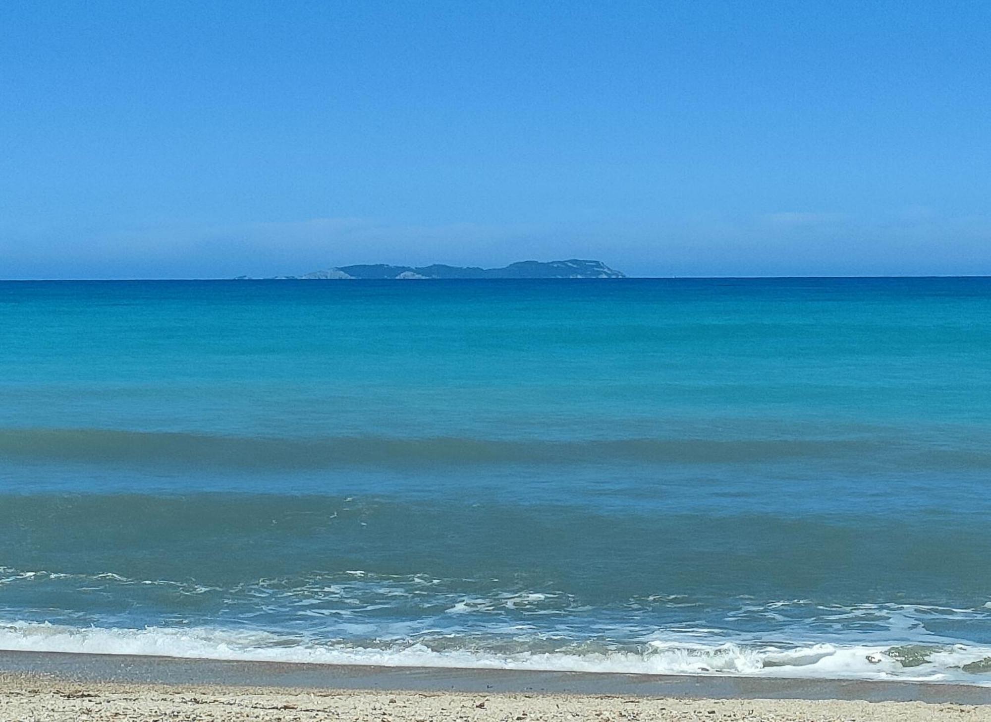 Dolphin Apt & Studios -Next To The Beach 罗达 外观 照片